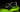 GeForce RTX 5080
