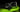 GeForce RTX 5080