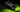 GeForce RTX 5090