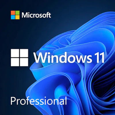 Windows 11 Pro + USB Recovery