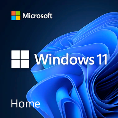 Windows 11 Home + USB Recovery